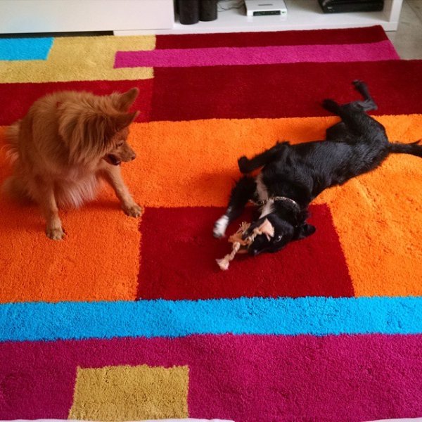 davincitapetesdesign_11176277_1053630177999622_774518660_n